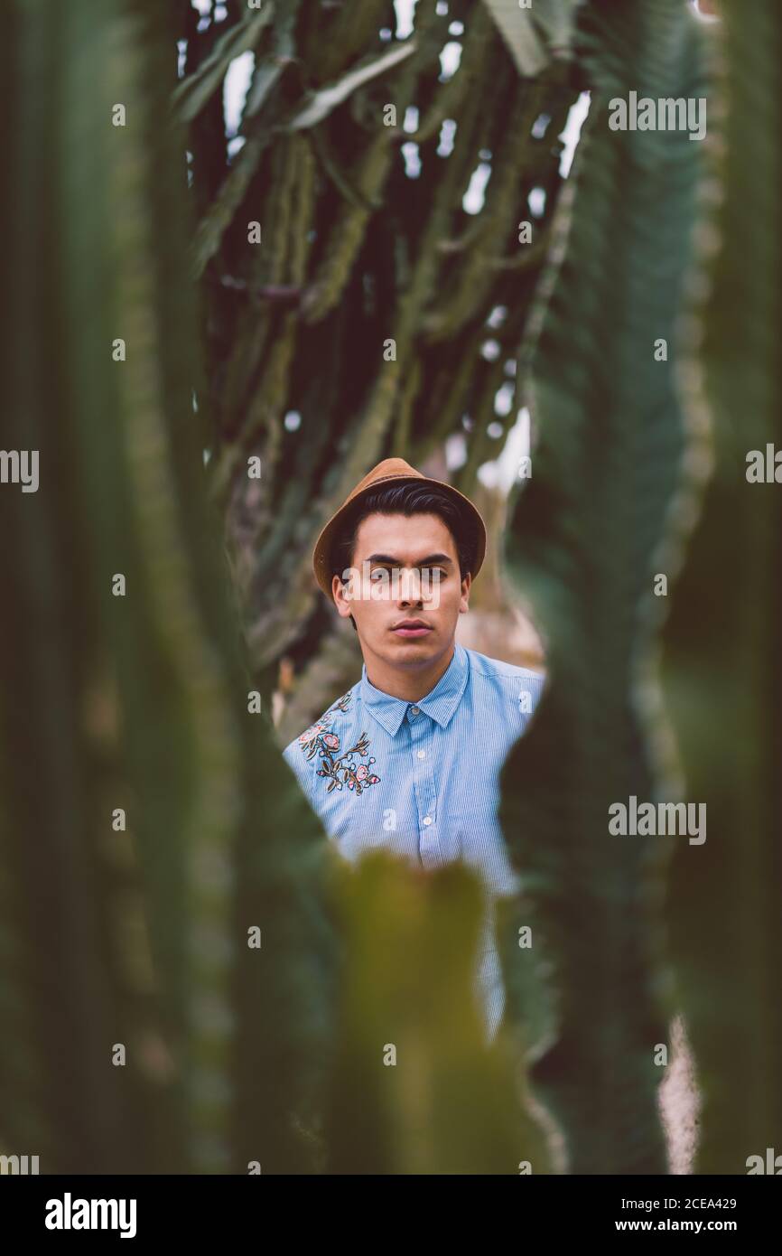 Thoughtful young handsome man at cactus Stock Photo