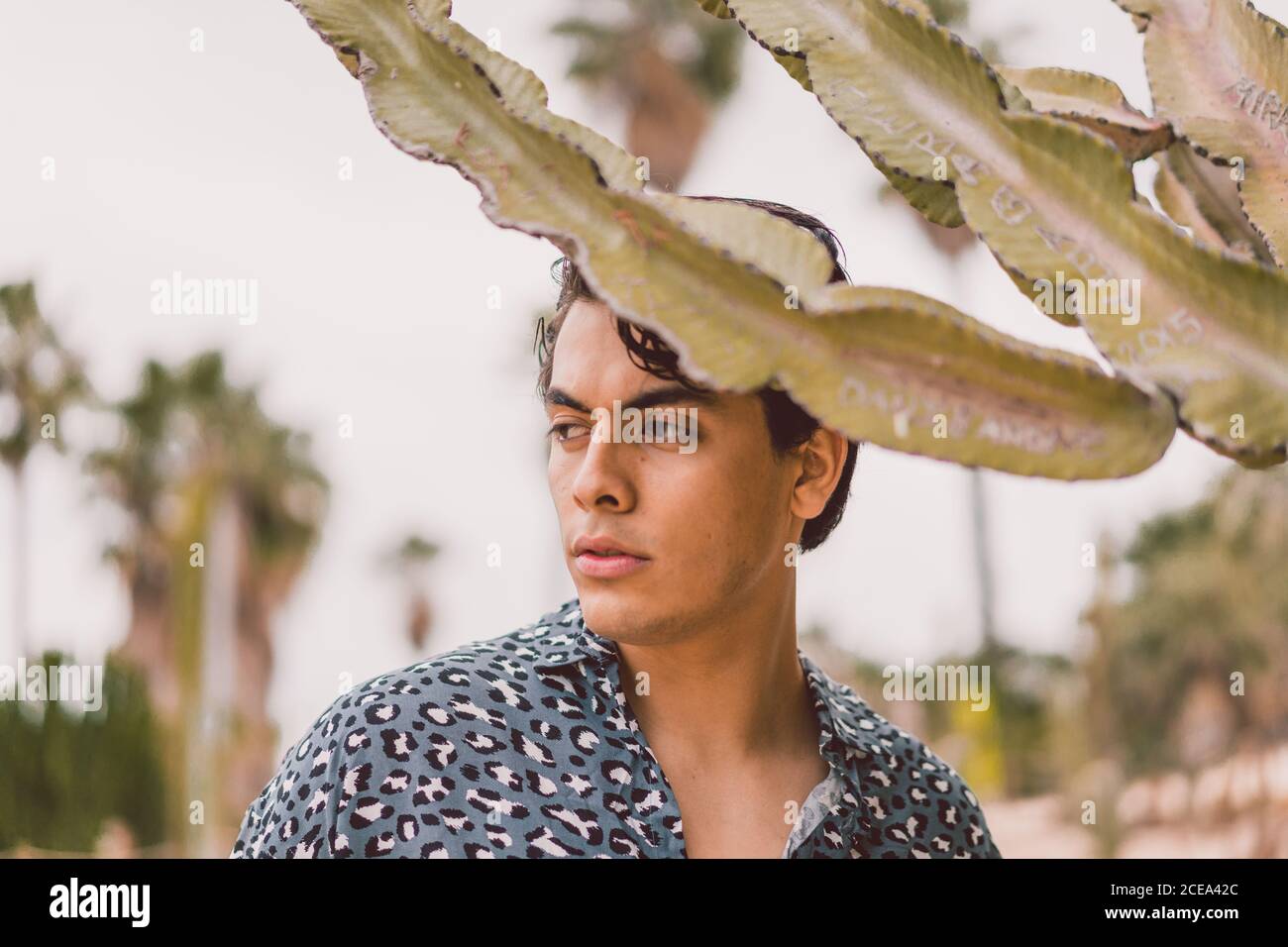 Handsome young man at cactus Stock Photo