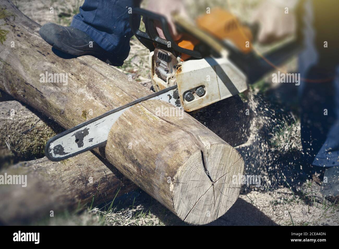 Chainsaw man cutting wood timber log hi-res stock photography and ...