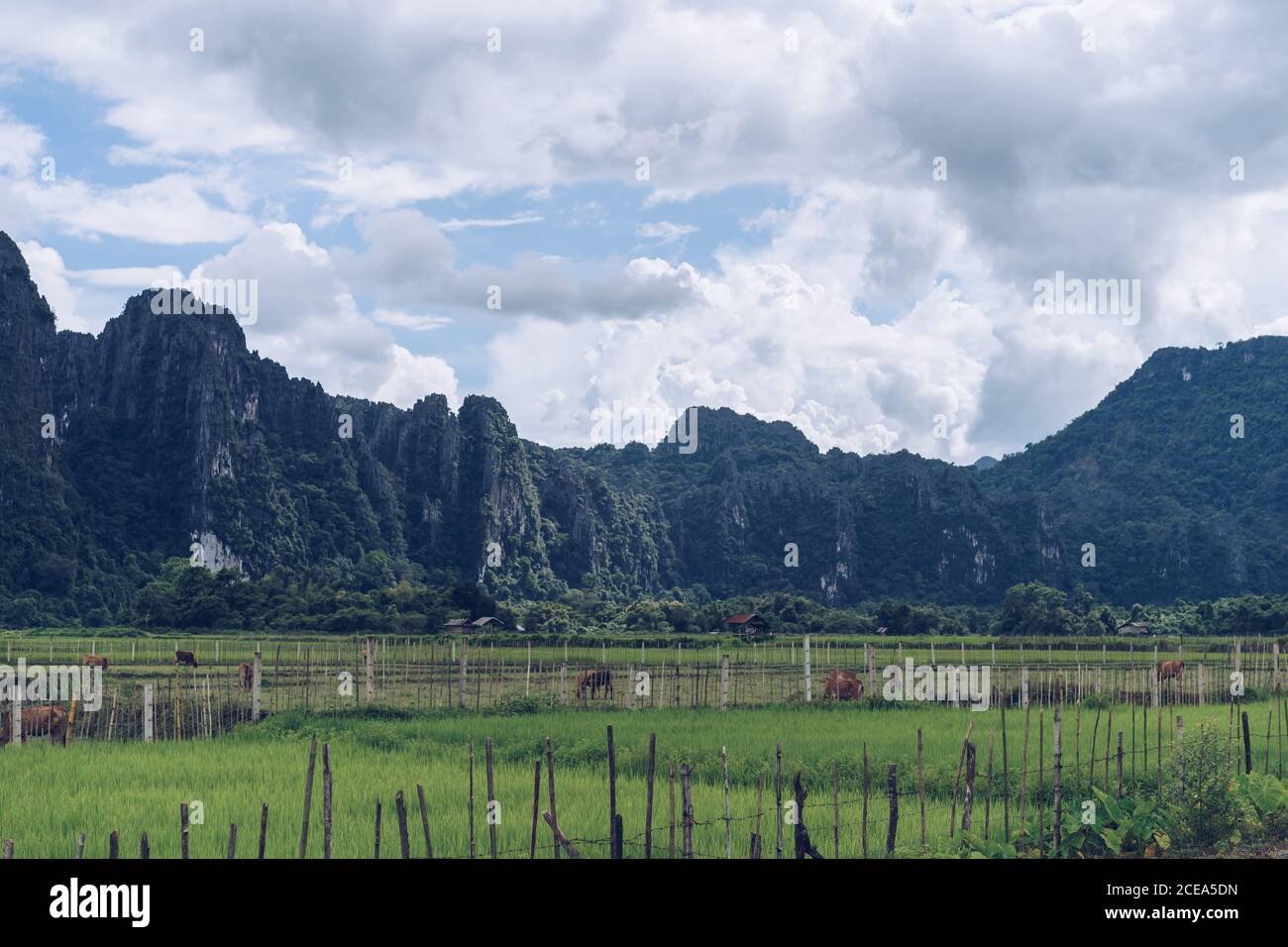 Green space picturesque hi-res stock photography and images - Alamy