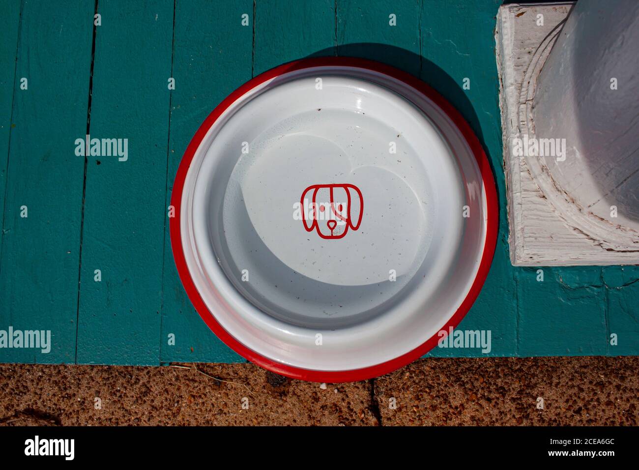 A flat lay image of a water bowl for dogs. It has a cute dog symbol in the middle and some water filling it half. The bowl is placed on a painted wood Stock Photo