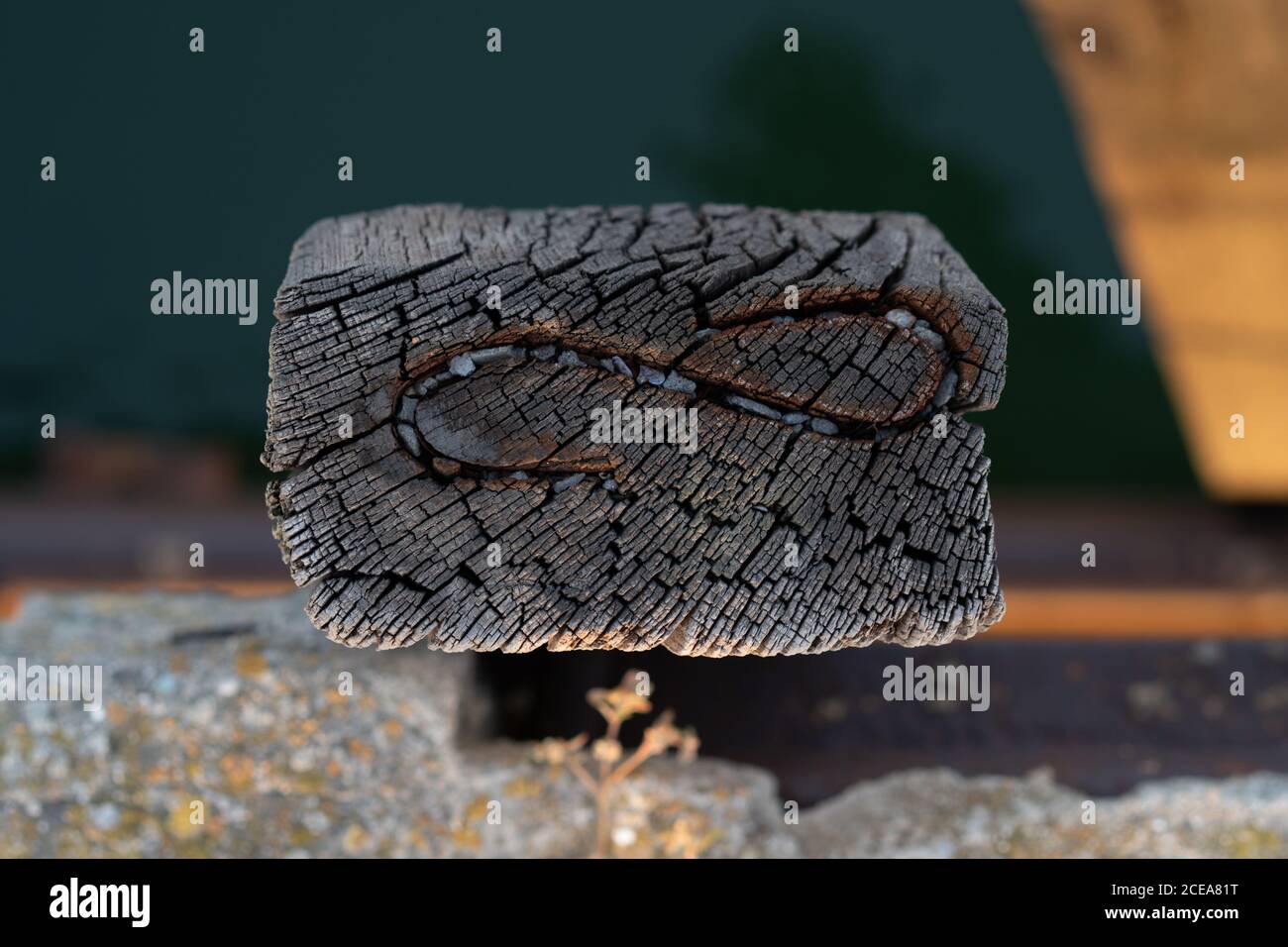Closeup shot of cracked piece of old wood with crooked ornament on sunny day in Tyulenovo, Bulgaria Stock Photo
