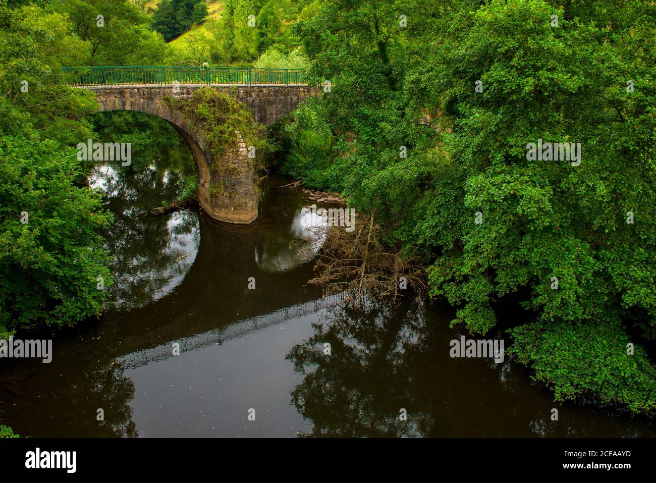 View of calmly flowing Nora river among lush bright green trees in peace, Asturias Stock Photo