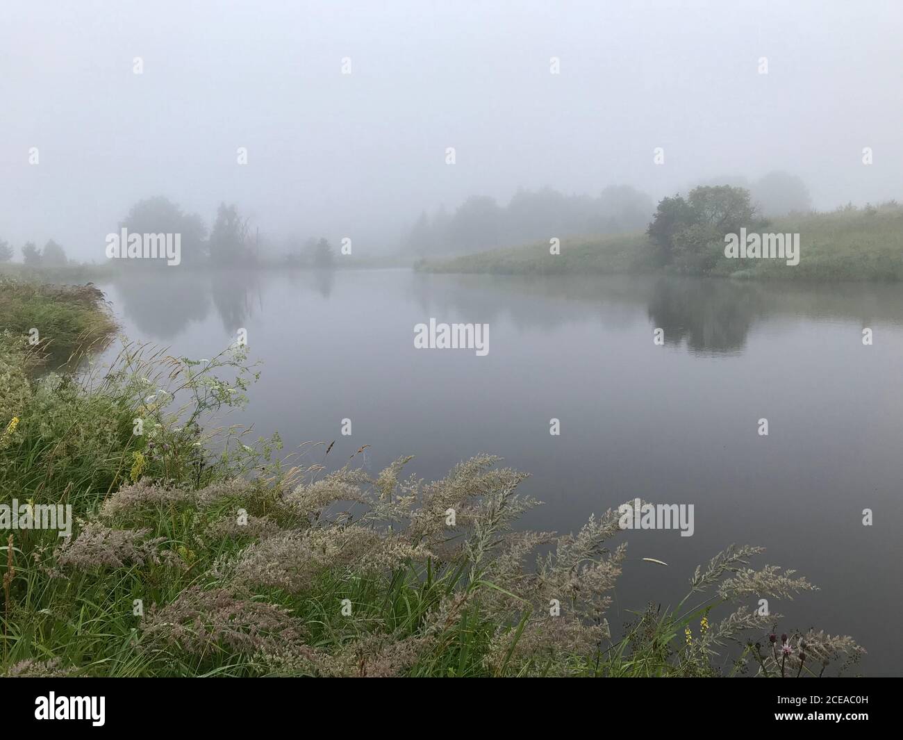 Morning fog on lake. Summer landscape, nature Stock Photo