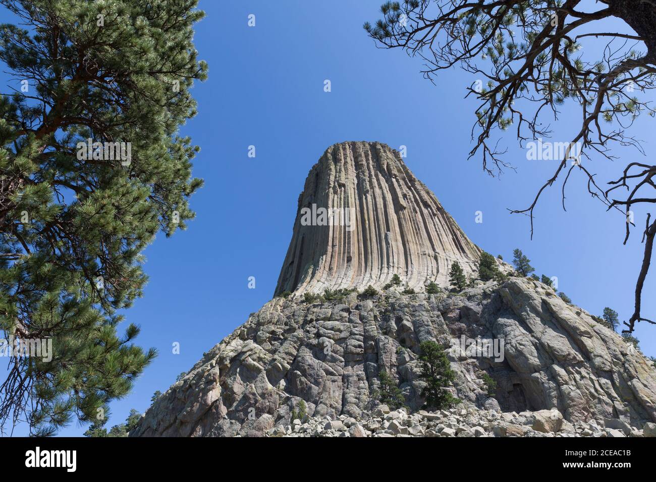 A view of the south side of the tower from Tower Trail at Devils Tower National Monument, Wyoming on Friday, August 14, 2020. Stock Photo