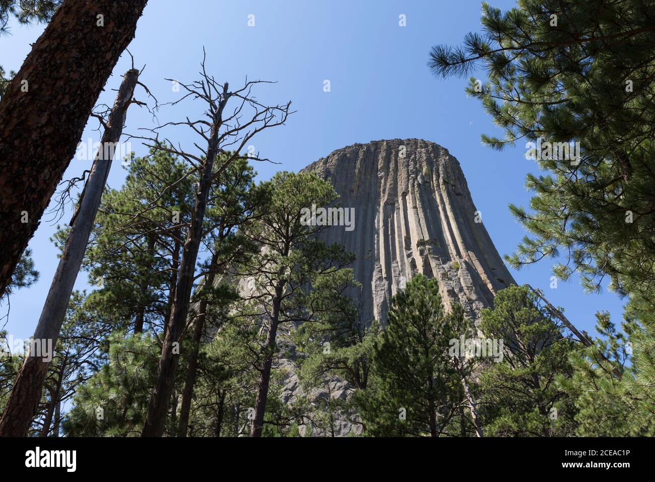 A view of the east side of the tower from Tower Trail at Devils Tower National Monument, Wyoming on Friday, August 14, 2020. Stock Photo
