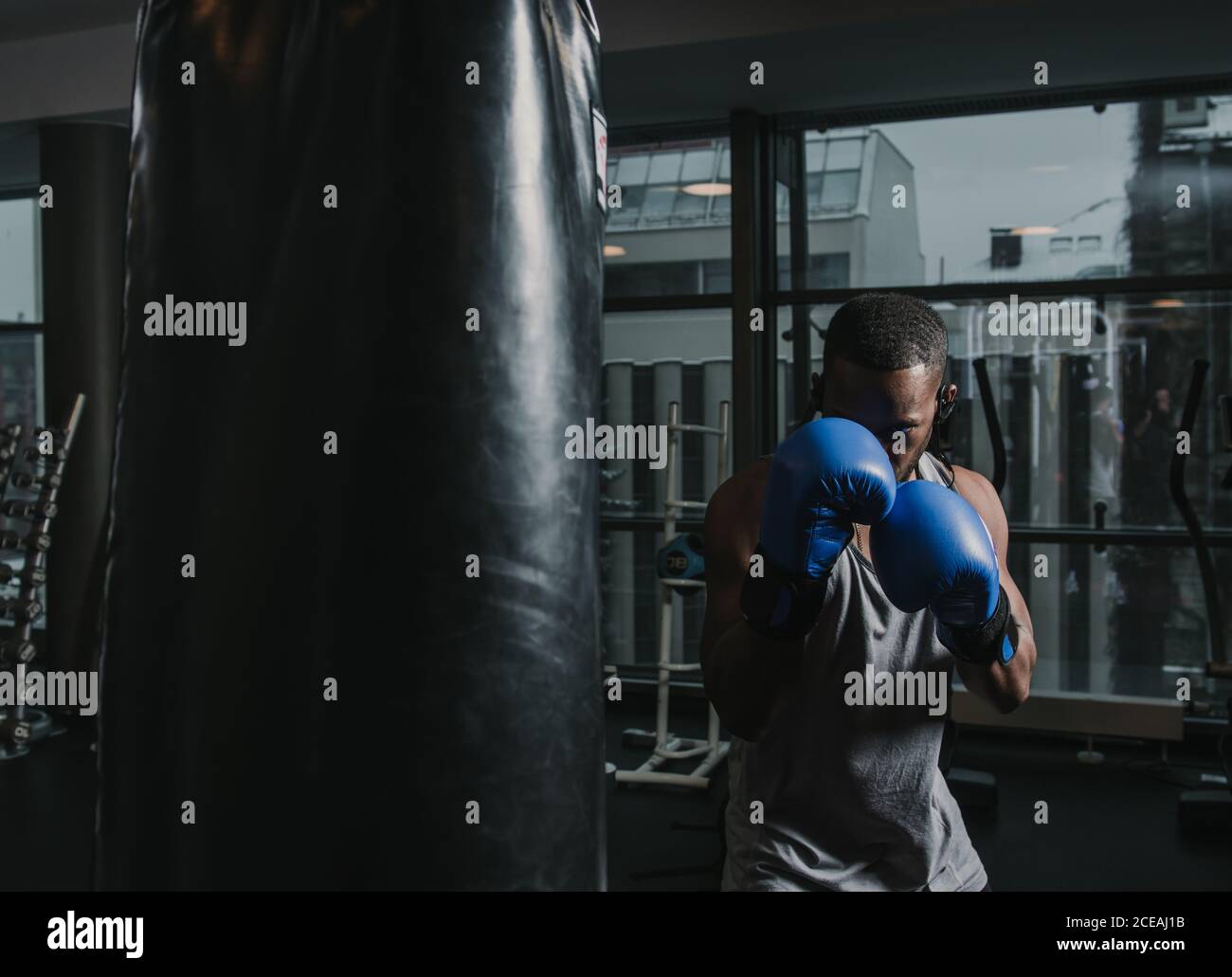African american boxer hi-res stock photography and images - Alamy