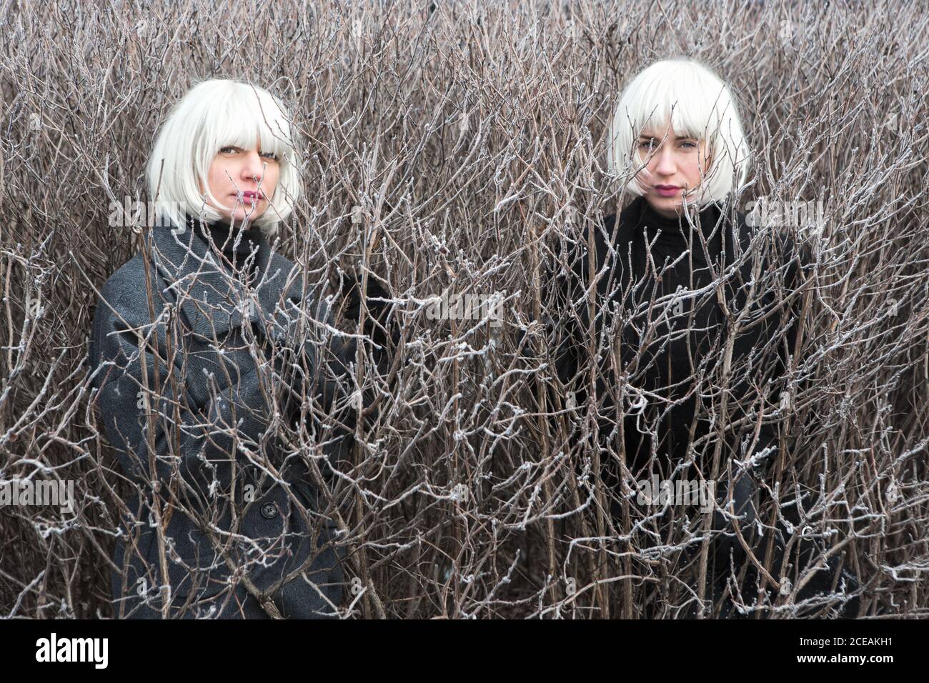 Young†women in dark wear between bush without foliage looking at camera in Lithuania Stock Photo
