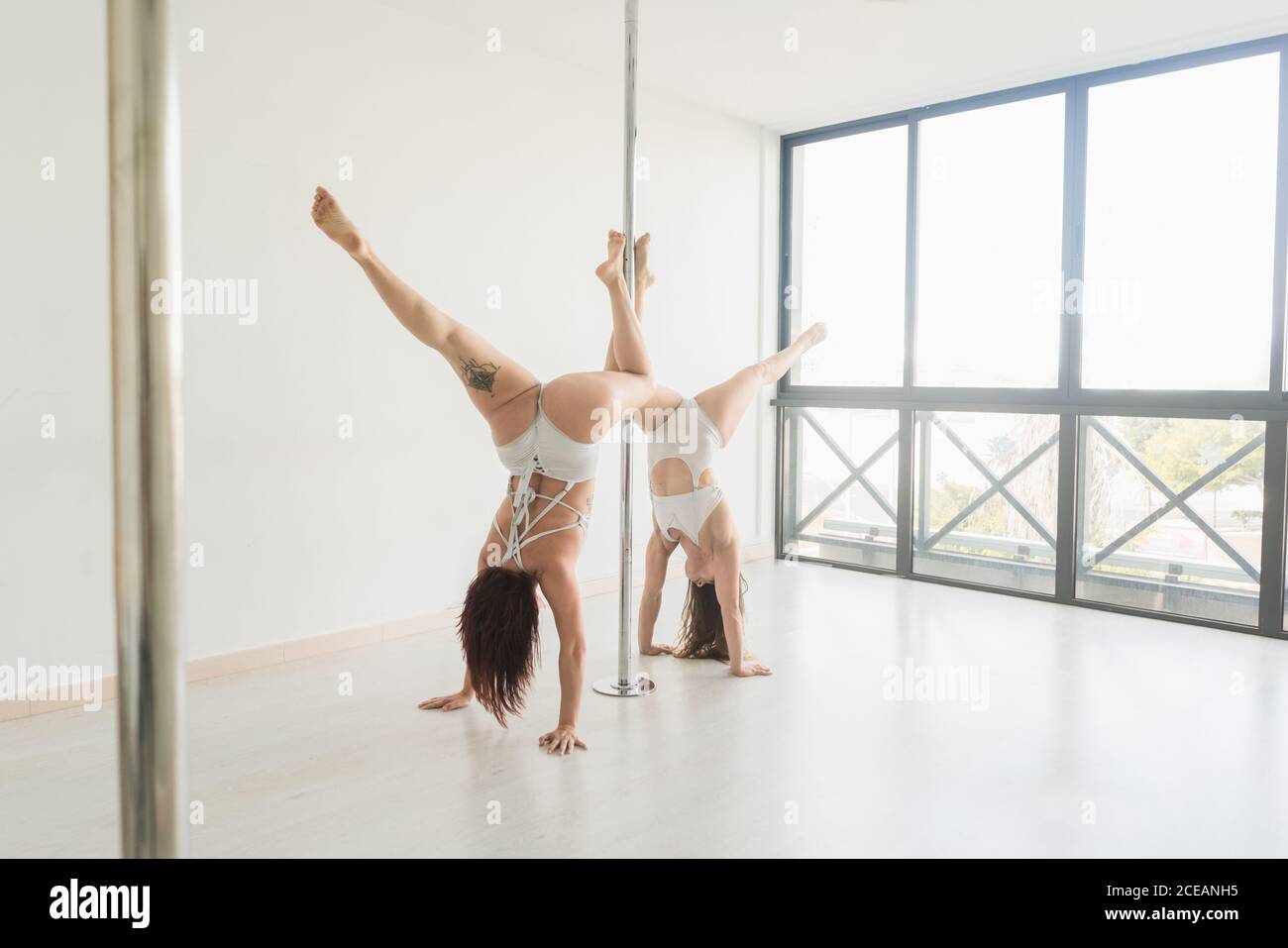 Side view of slim ladies in sportswear training on modern bicycle machines  in modern gym having cardio workout Stock Photo - Alamy