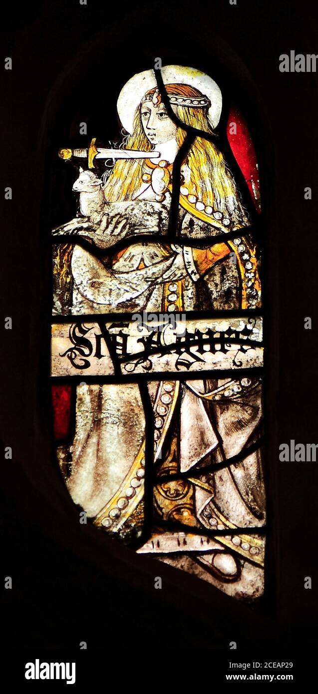 St. Agnes, knife, dagger, at neck, throat, holding lamb, Medieval stained glass, Sandringham church, Norfolk, England Stock Photo