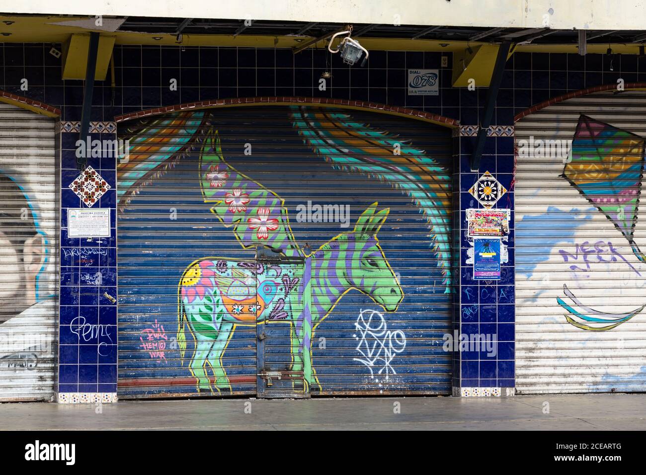 Street art on a storefront door, depicting a "Zonkey", a uniquely