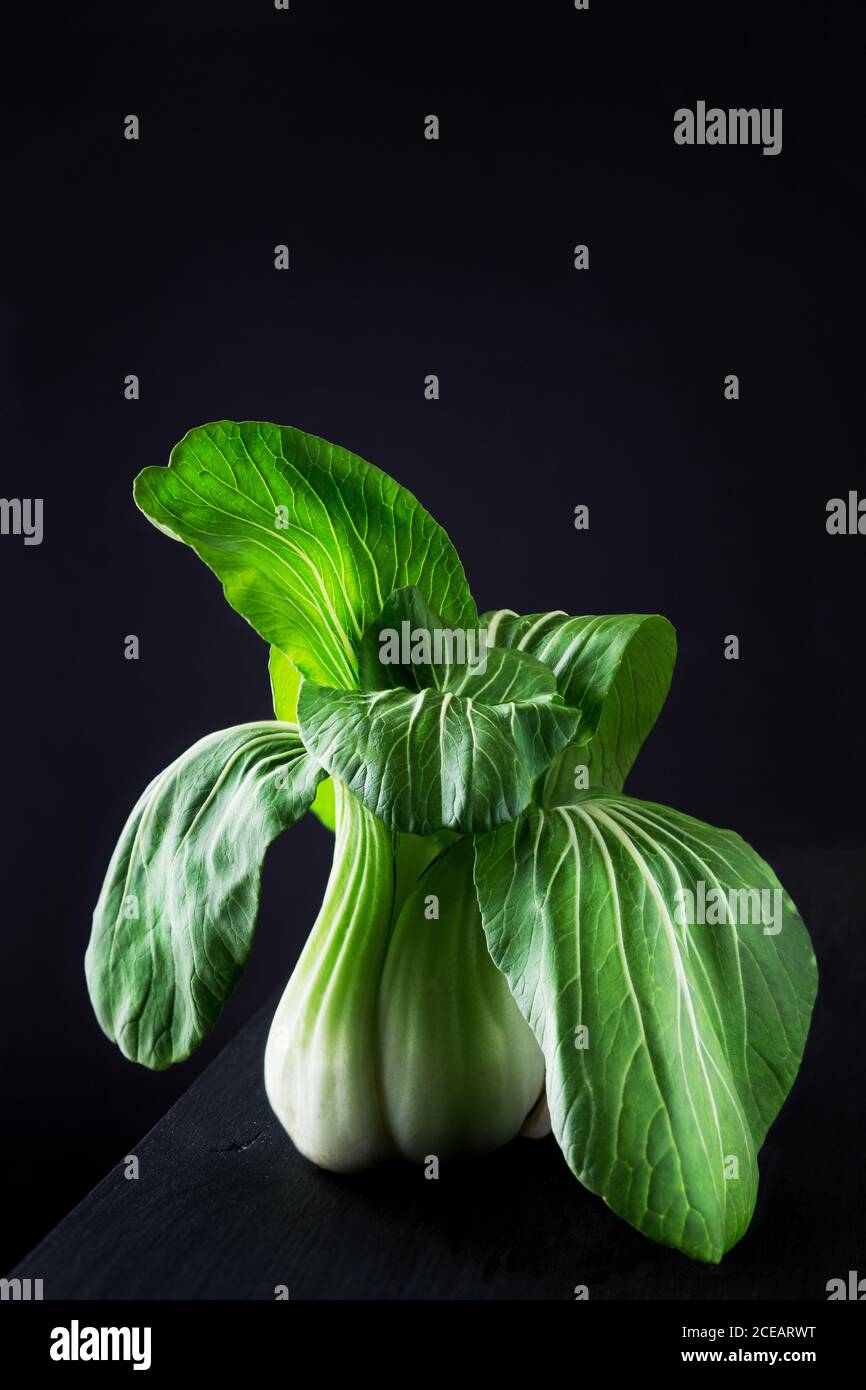Bok choy in black background Stock Photo