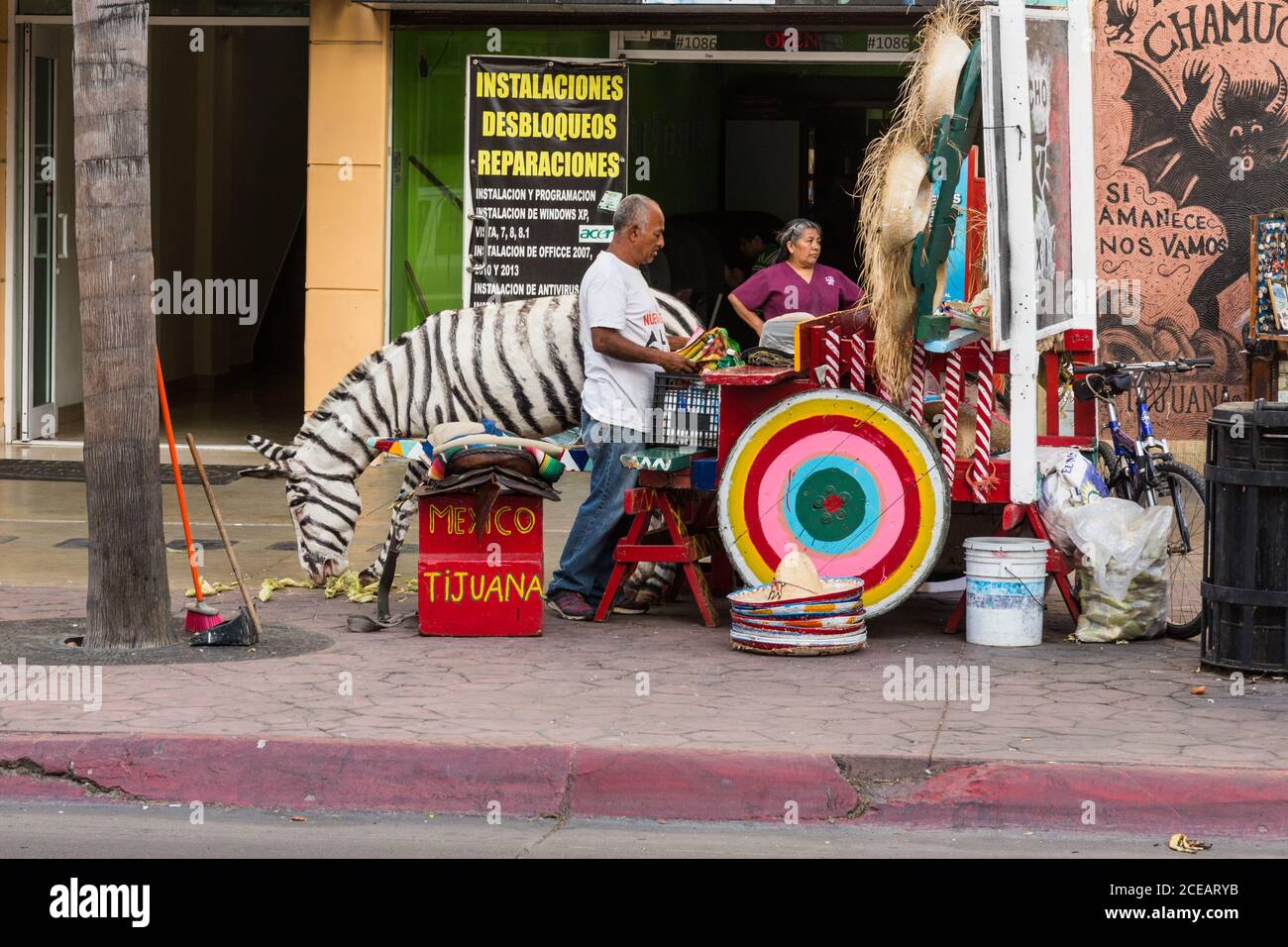Zonkeys, donkeys painted with zebra stripes, are a landmark for tourist