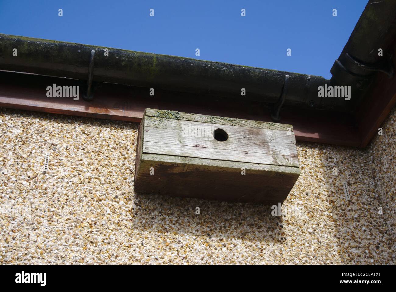 Bird box under gutter on a a roughcast wall at the corner of a house. Stock Photo
