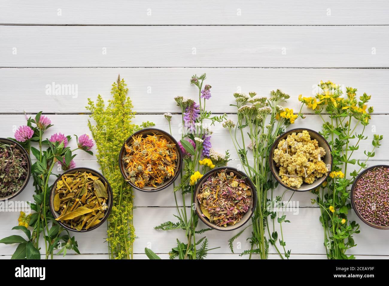 Medicinal plants and bowls of dry medicinal herbs on wooden table. Top view, flat lay. Alternative medicine. Stock Photo