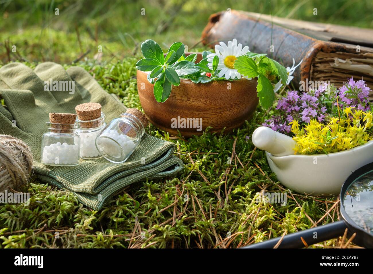 Bottles of homeopathic globules, mortars of medicinal herbs, old book and magnifying glass on a moss in forest outdoors. Stock Photo