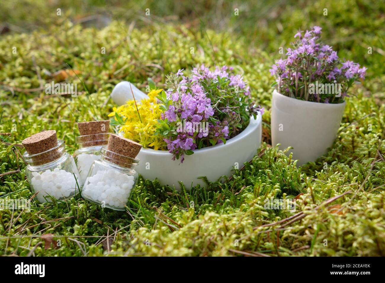 Bottles of homeopathic globules, mortars of thyme and medicinal herbs on a moss in forest outdoors. Stock Photo