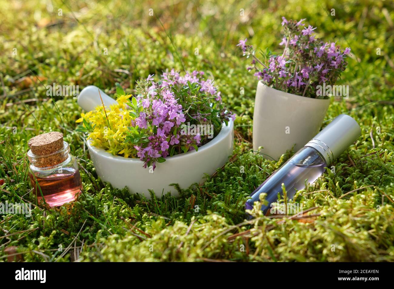 Mortar of thyme and medicinal herbs, essential oil bottles on a green moss in forest outdoors. Stock Photo
