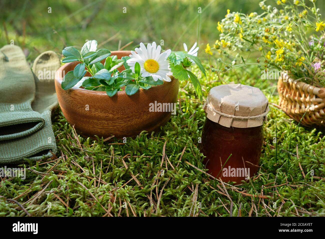 Mortar of medicinal herbs, jar of salve or balm, basket of healing plants ona green forest moss outdoors. Stock Photo