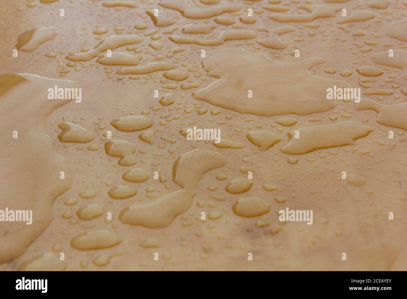 Wet wood background, water drops on plywood surface after the rain