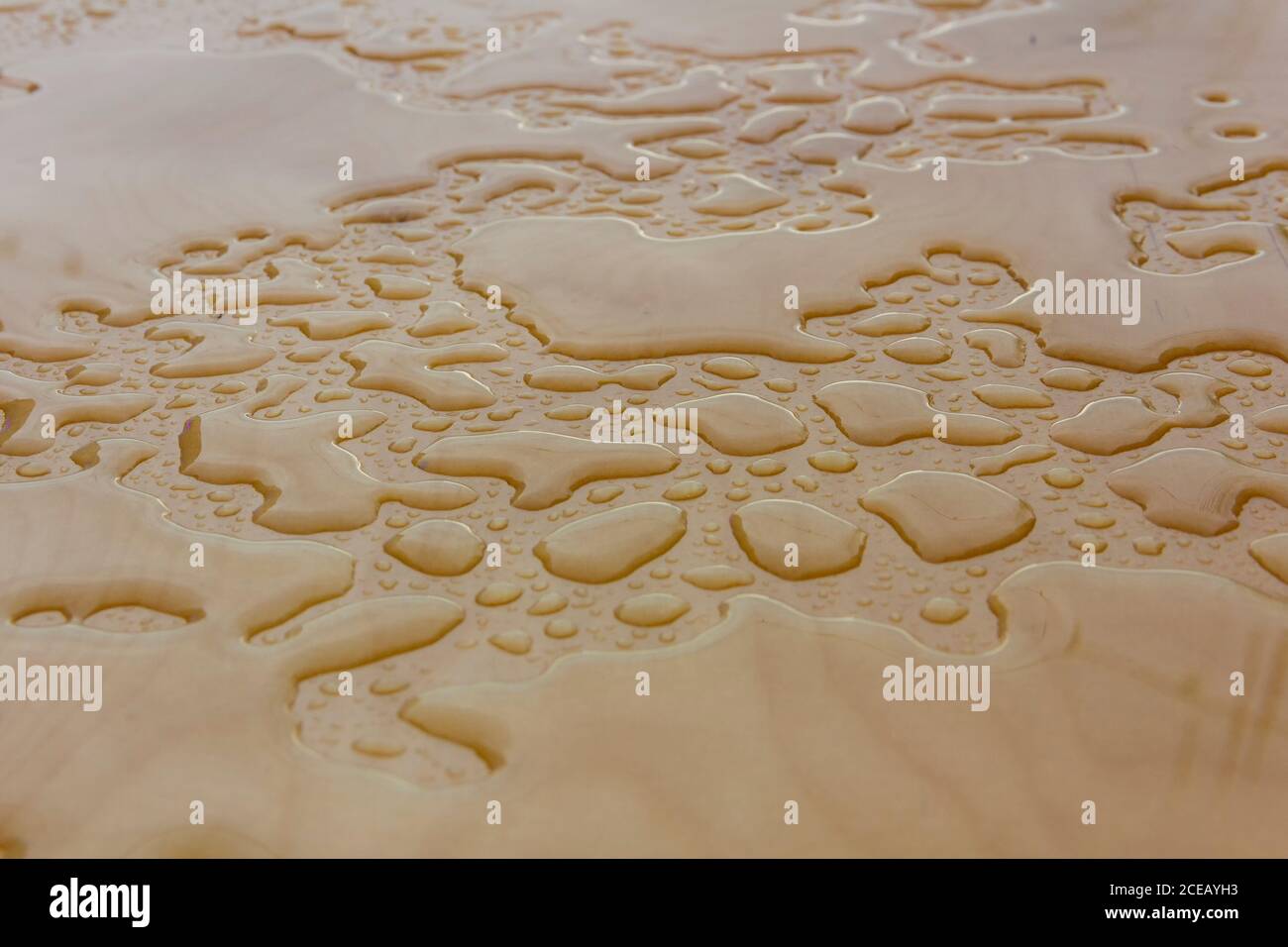 Wet wood background, water drops on plywood surface after the rain
