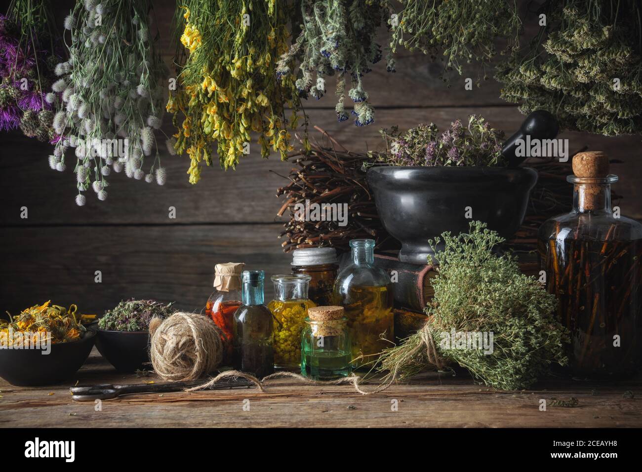 Hanging bunches of medical herbs, mortar and bowl with dried medicinal plants, infusion and essential oil bottles. Alternative medicine. Stock Photo