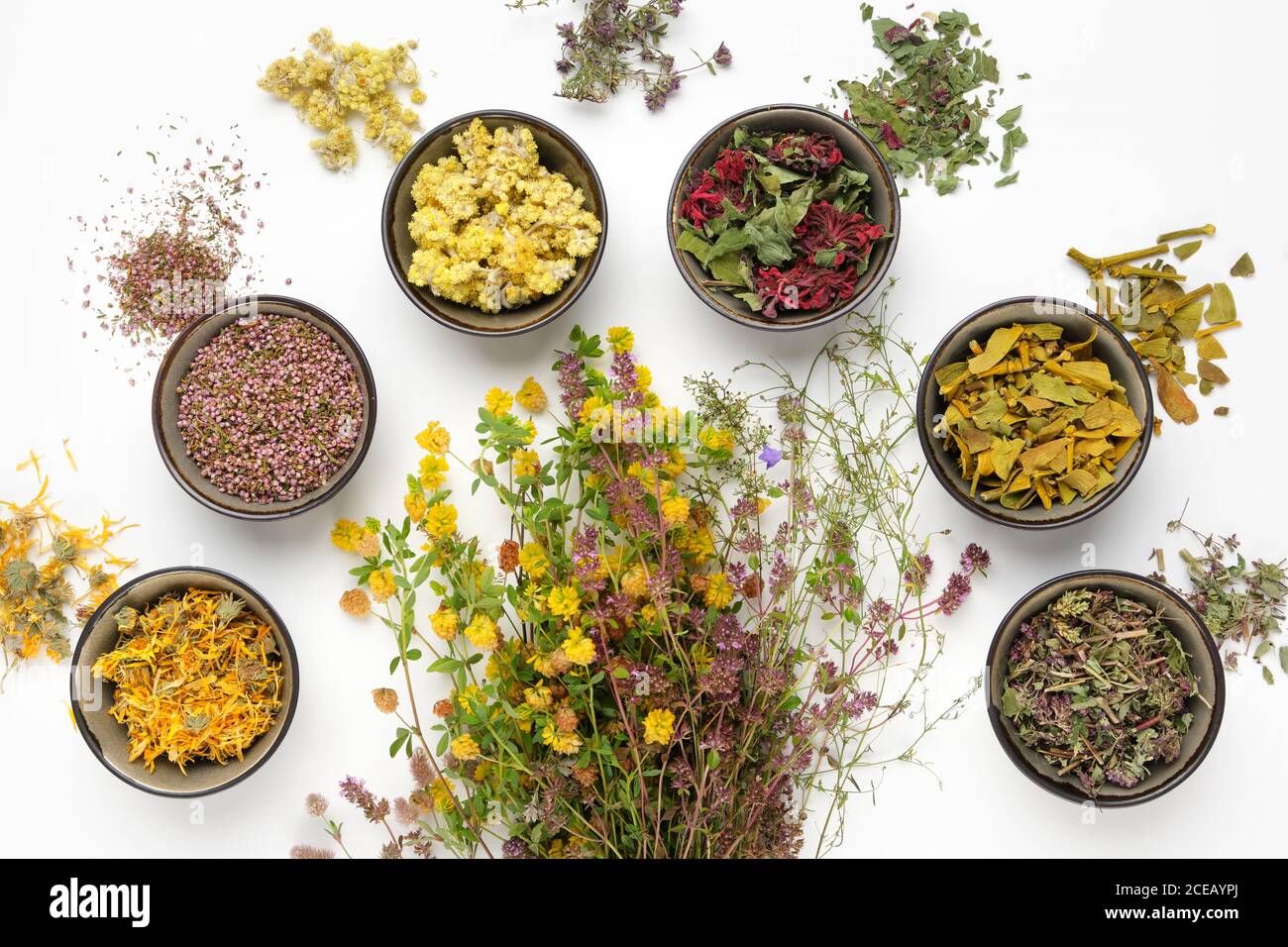 Bunch of medicinal plants and bowls of dry medicinal herbs on white background. Top view, flat lay. Alternative medicine. Stock Photo