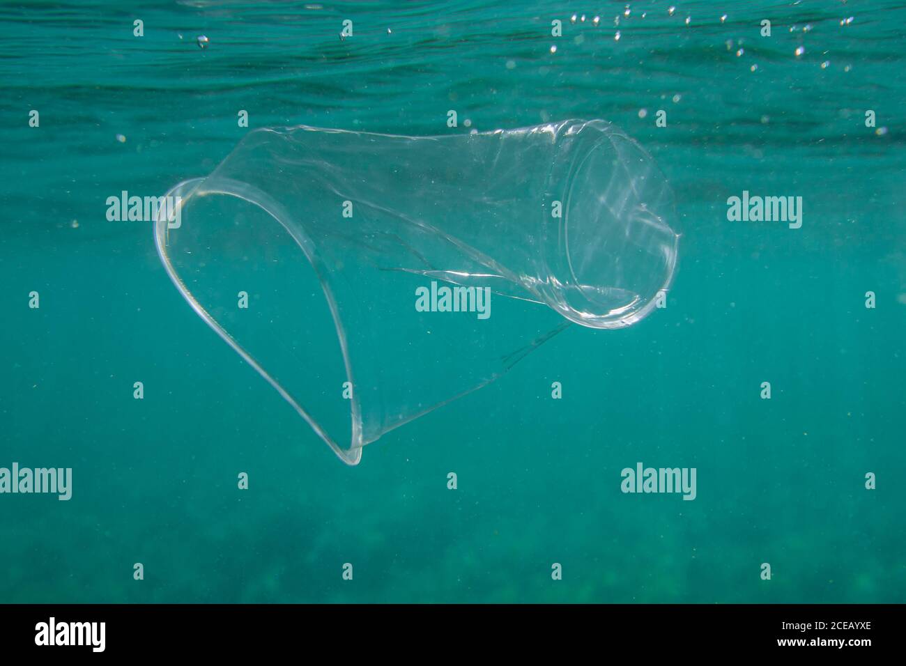 Plastic cup underwater in the ocean. Environmental pollution concept