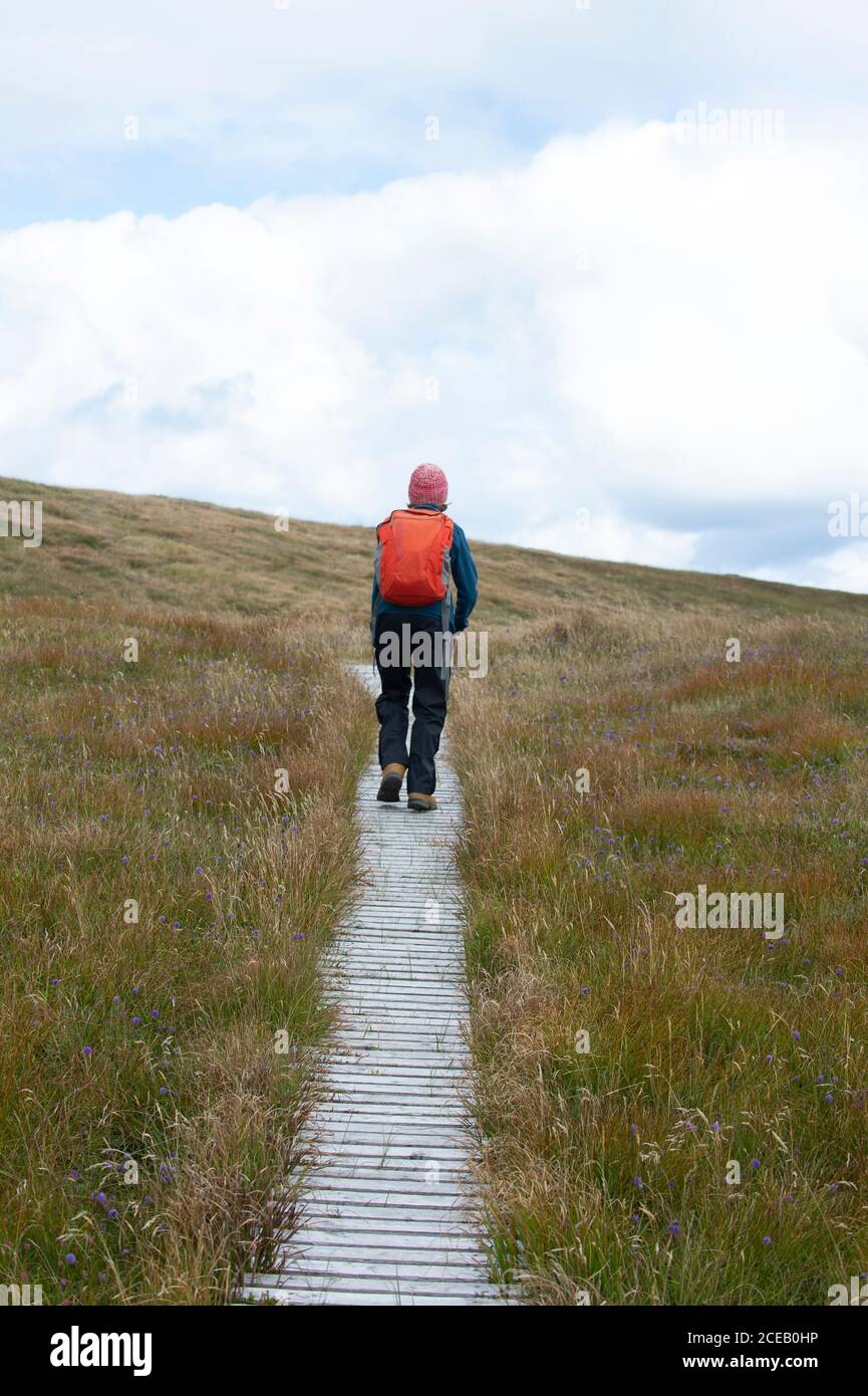Lone walker in Scottish Highlands, Handa Island, Highlands, Scotland, United Kingdom, British Isles Stock Photo