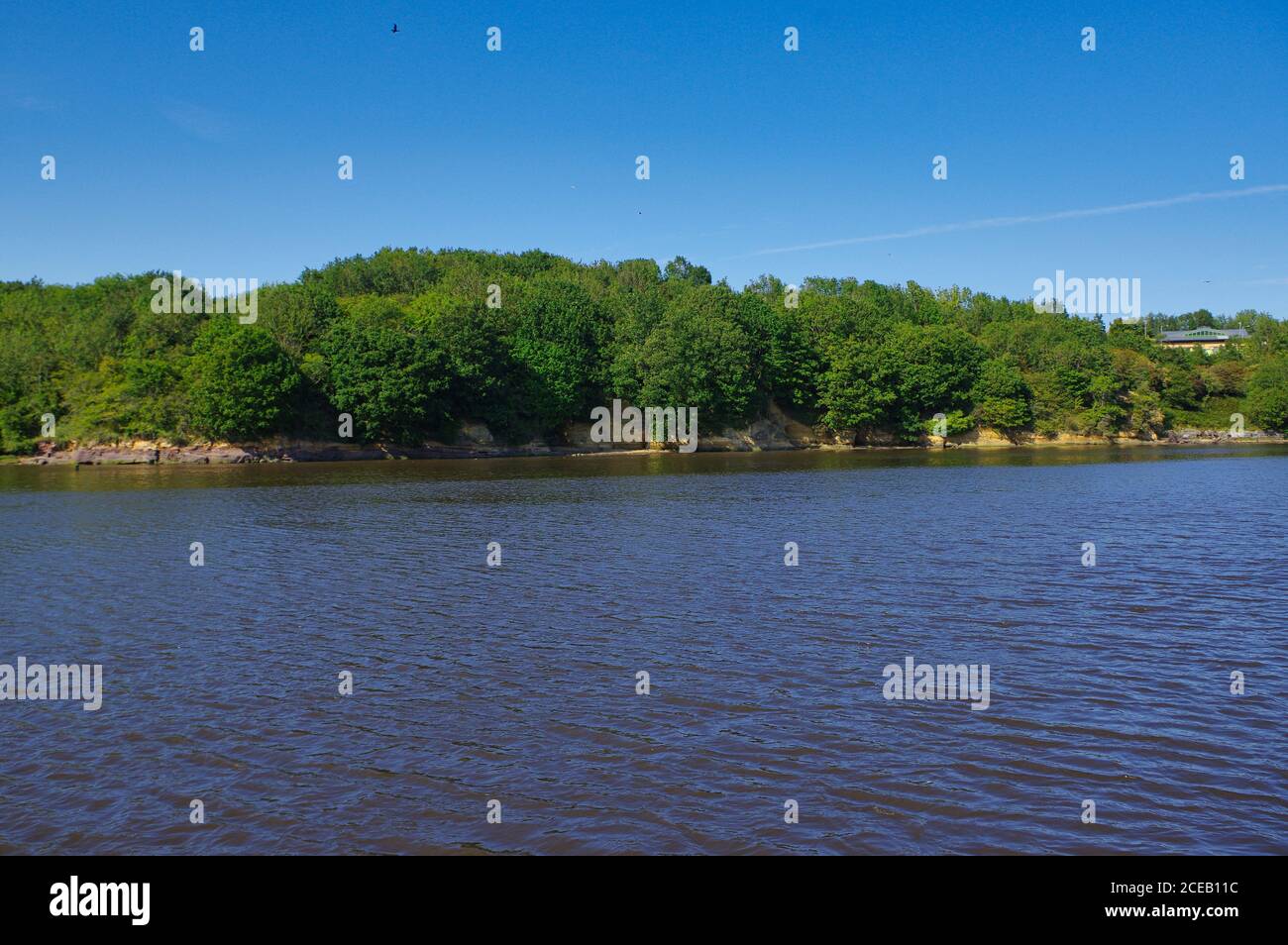 Beautiful river bank in sunny hi-res stock photography and images - Alamy