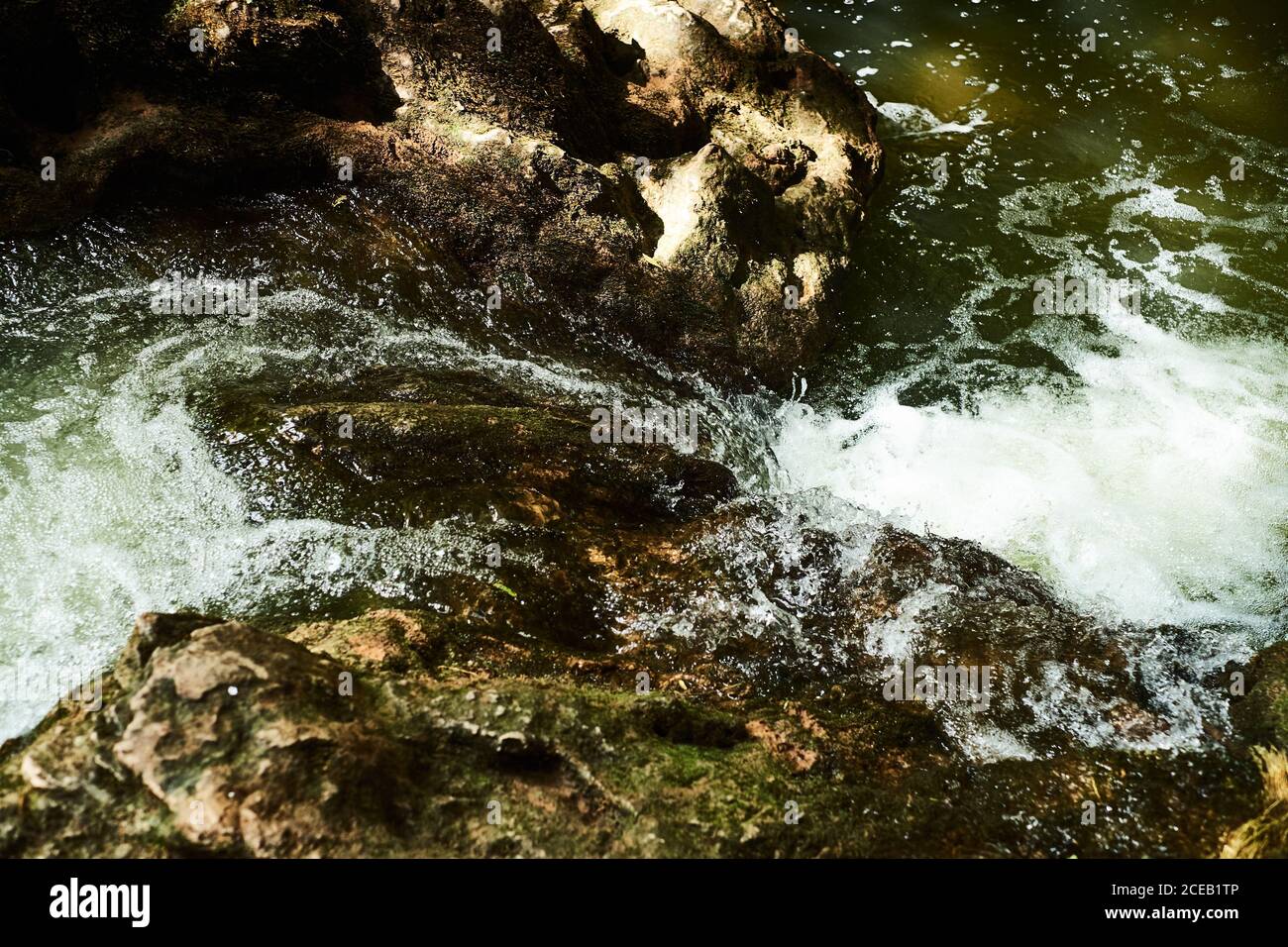 A stream in the forest hi-res stock photography and images - Alamy