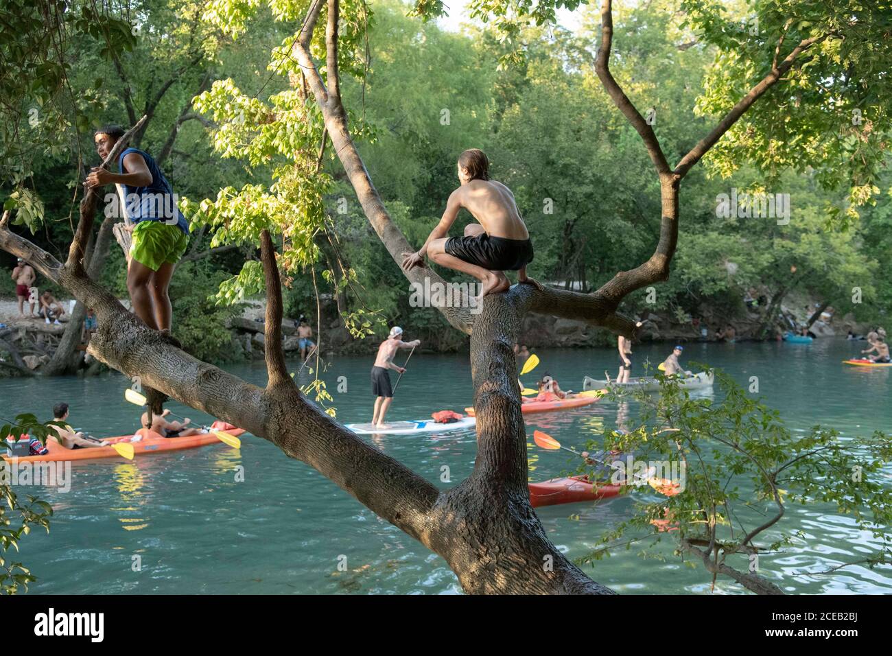 Young people eager to get outdoors during the coronavirus pandemic ignore social distancing guidelines to have fun in the cool waters of Barton Creek south of downtown Austin.These teenage boys are using a popular rope swing on a tree trunk overhanging the creek. ©Bob Daemmrich Stock Photo