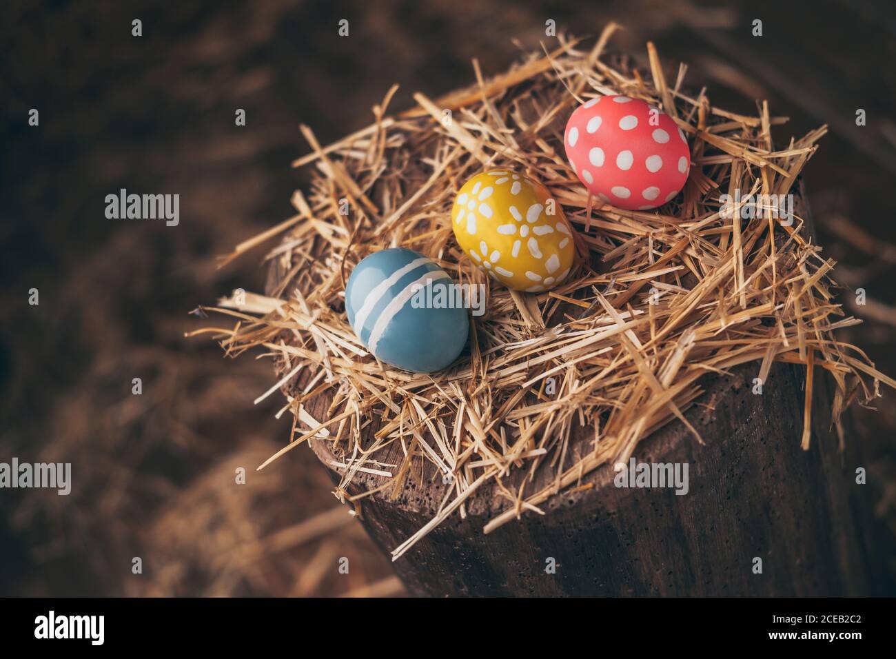 Set of Easter eggs on straw Stock Photo