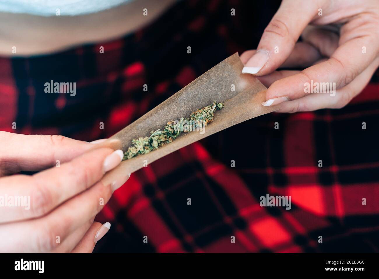 Woman preparing marijuana joint Stock Photo Alamy