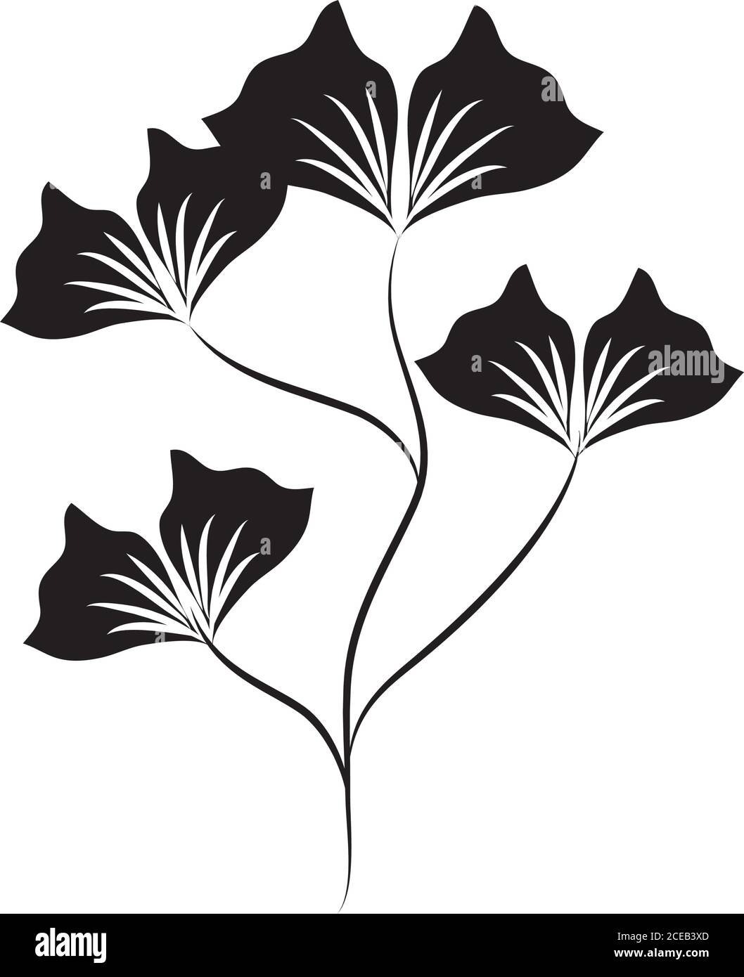 Morning glory flower and leaf hand drawn Vector Image