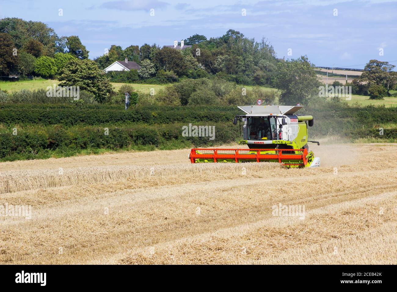 31 August 2020 A Cllas Lexion 570 Combine Harvester at work in a small field of barley corn in Bangor County Down Northern Ireland Stock Photo