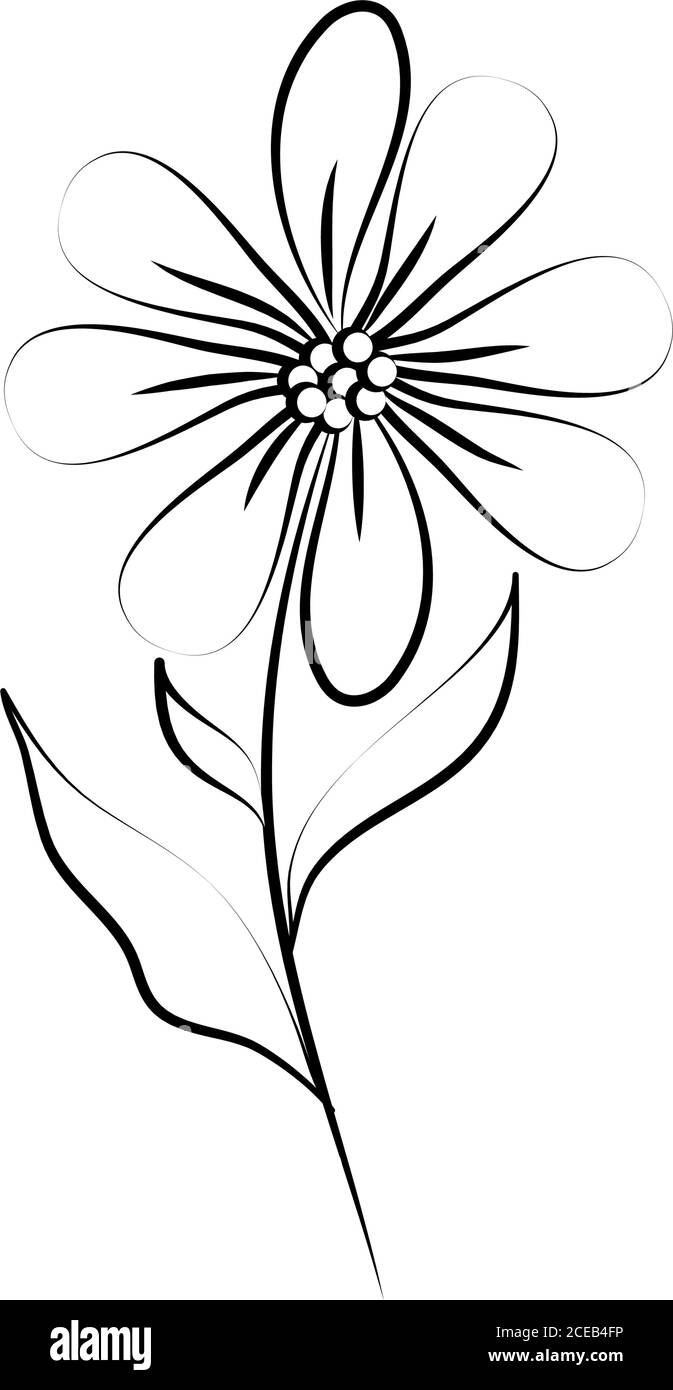 minimalist tattoo flower natural line art herb and leaves vector ...