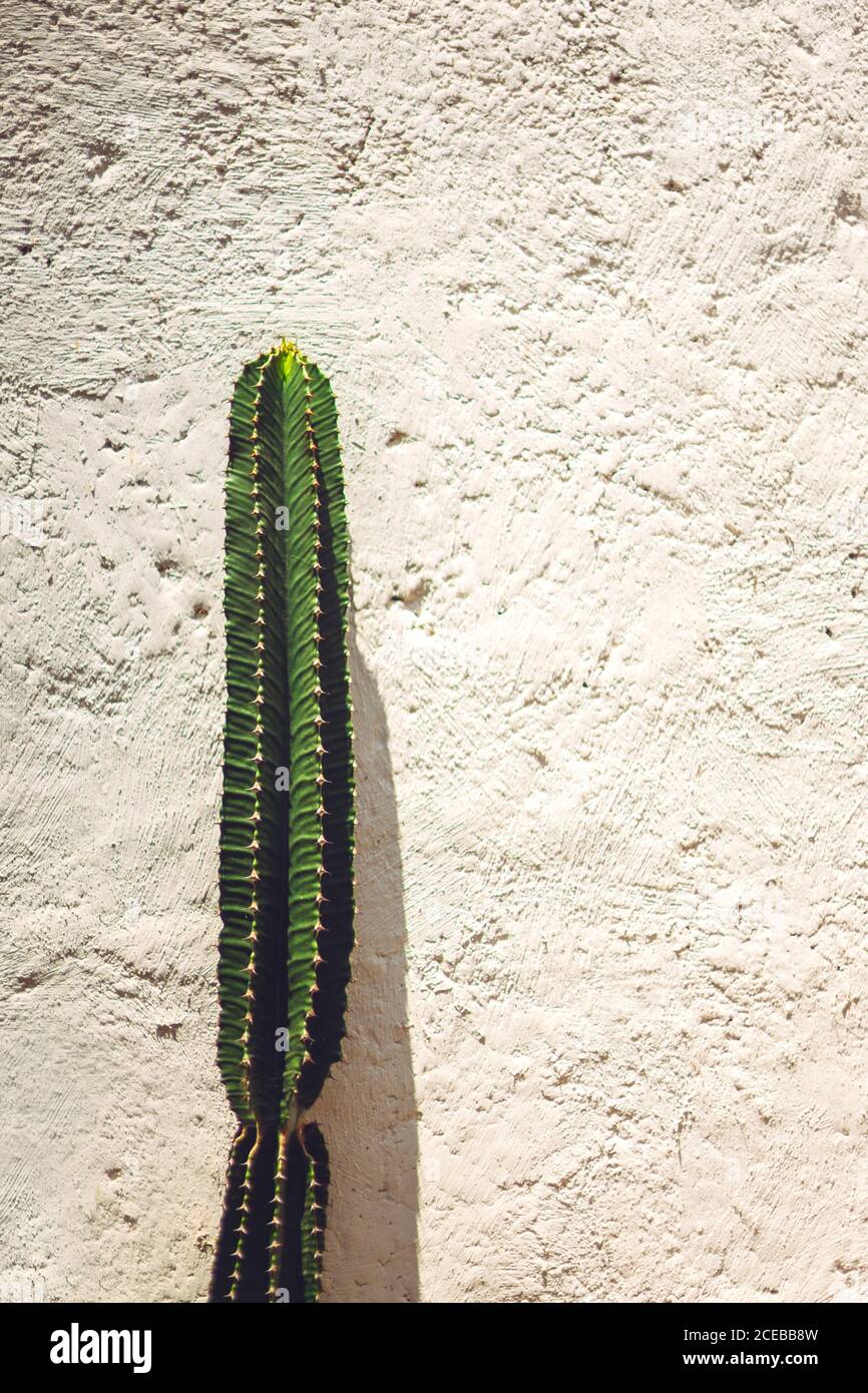 Rough plaster hi-res stock photography and images - Alamy