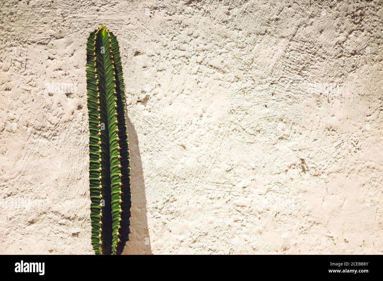 Rough plaster hi-res stock photography and images - Alamy