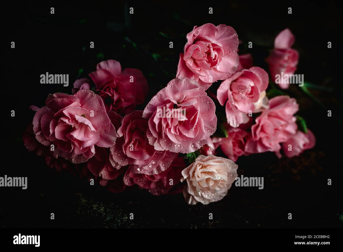 Fresh bouquet of pink carnations flowers with dark background Stock ...