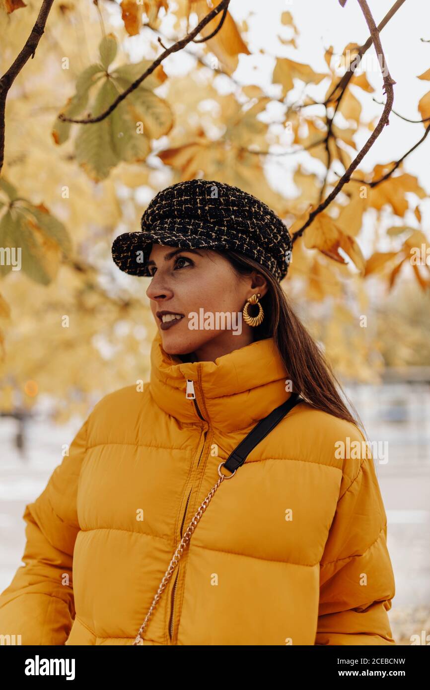 Beautiful young lady in stylish warm clothes smiling and standing on tree on amazing autumn day on city street Stock Photo