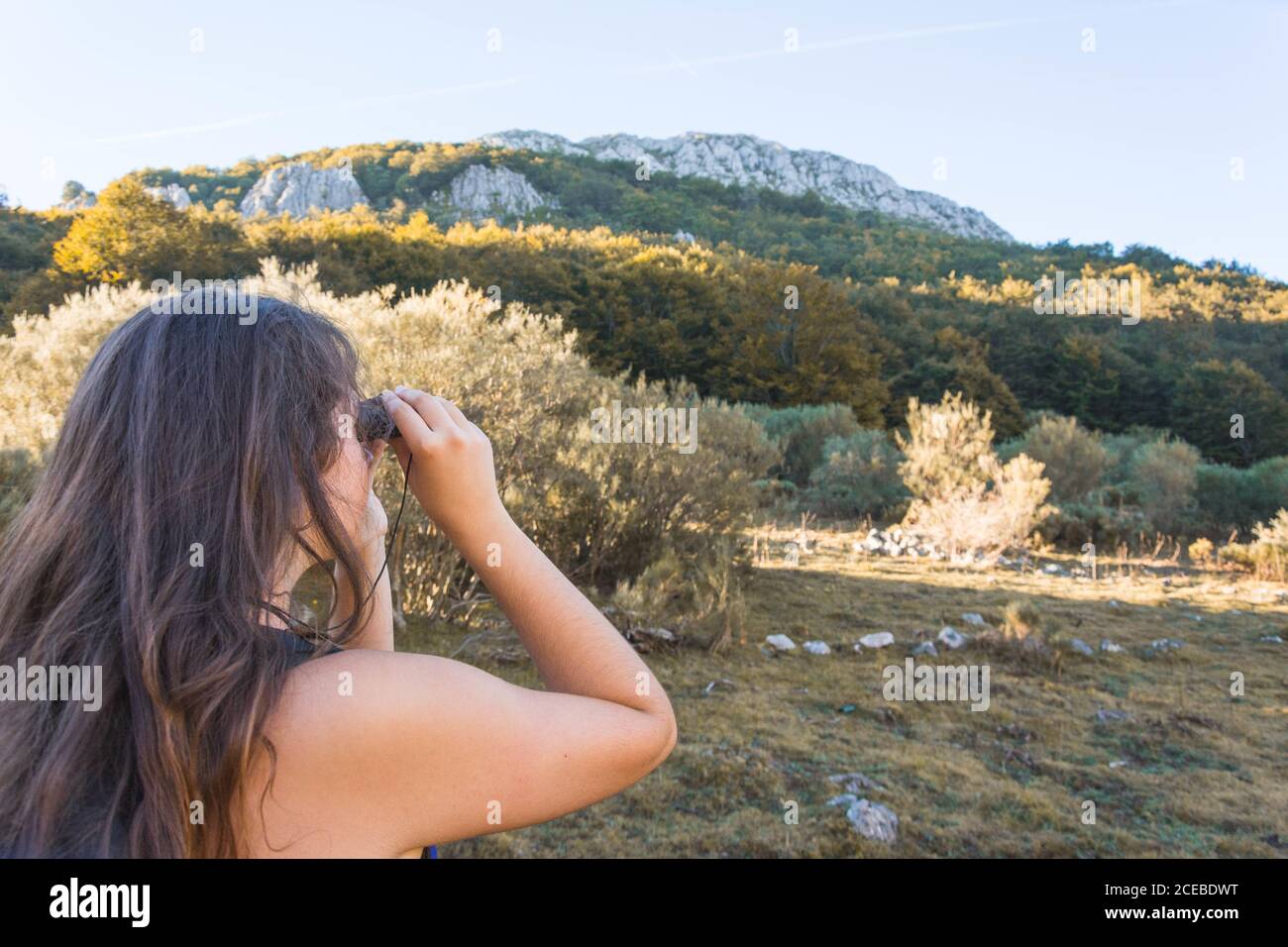 Observing Rear View Back view of Woman observing beautiful landscape with small binocular ...
