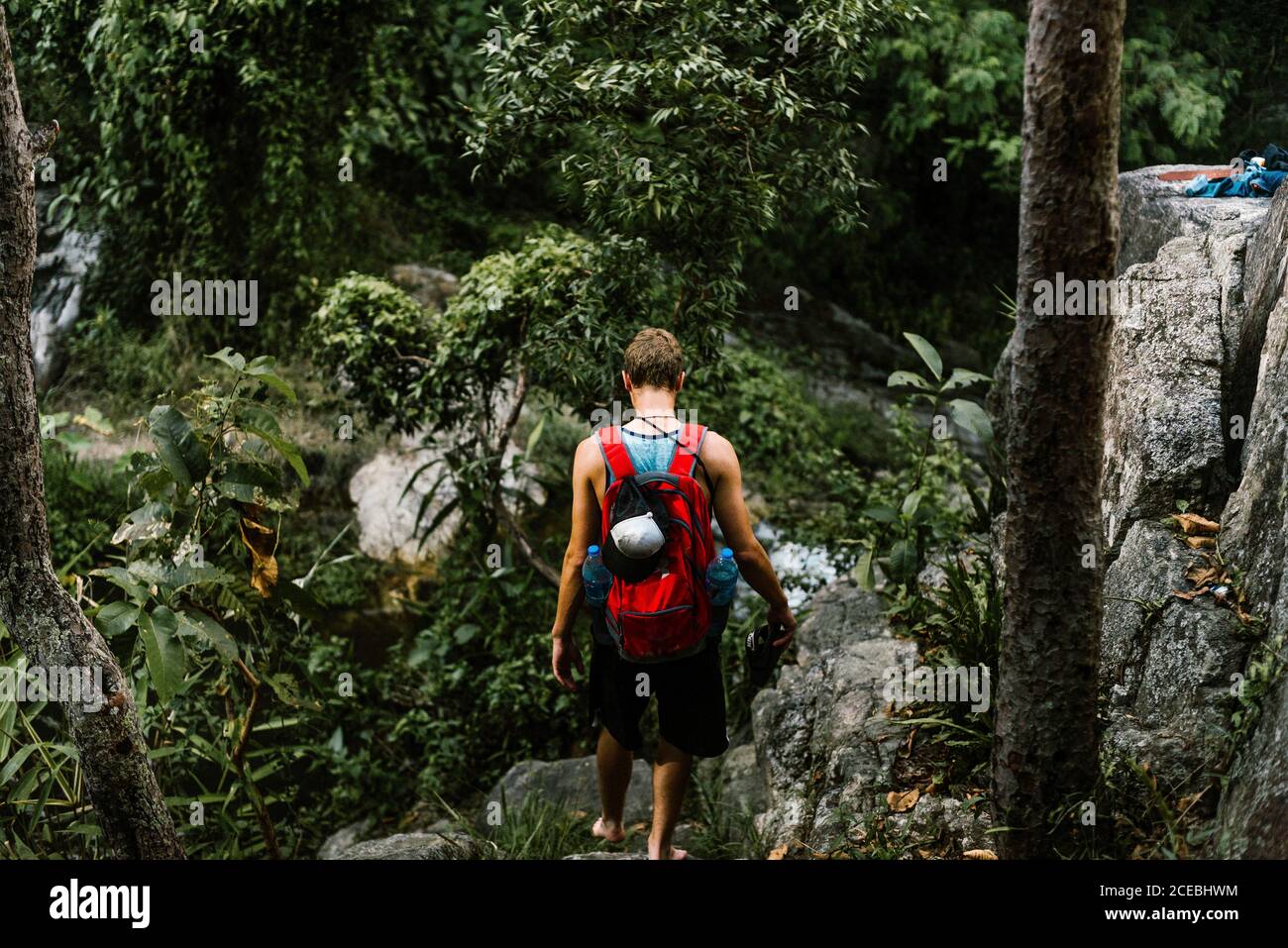 Back view of young guy with backpack standing on stone hill between green woods in forest Stock Photo