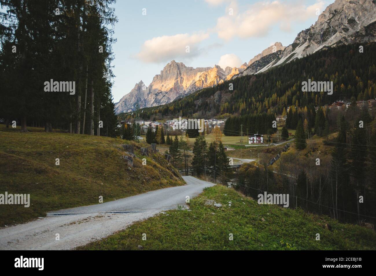 Beautiful forest in italian alps hi-res stock photography and images ...