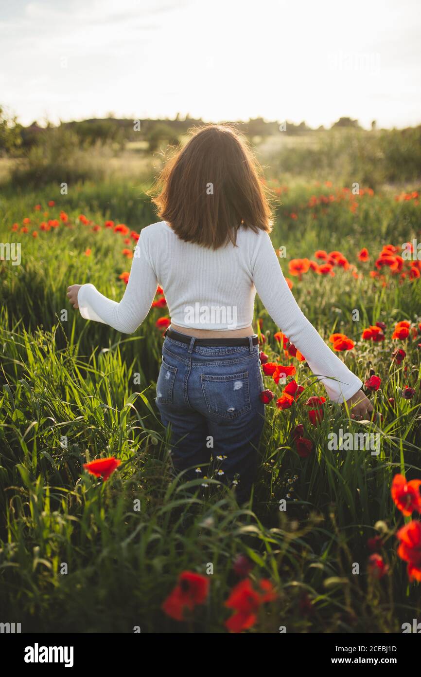 anonymous Woman walking in poppy field Stock Photo