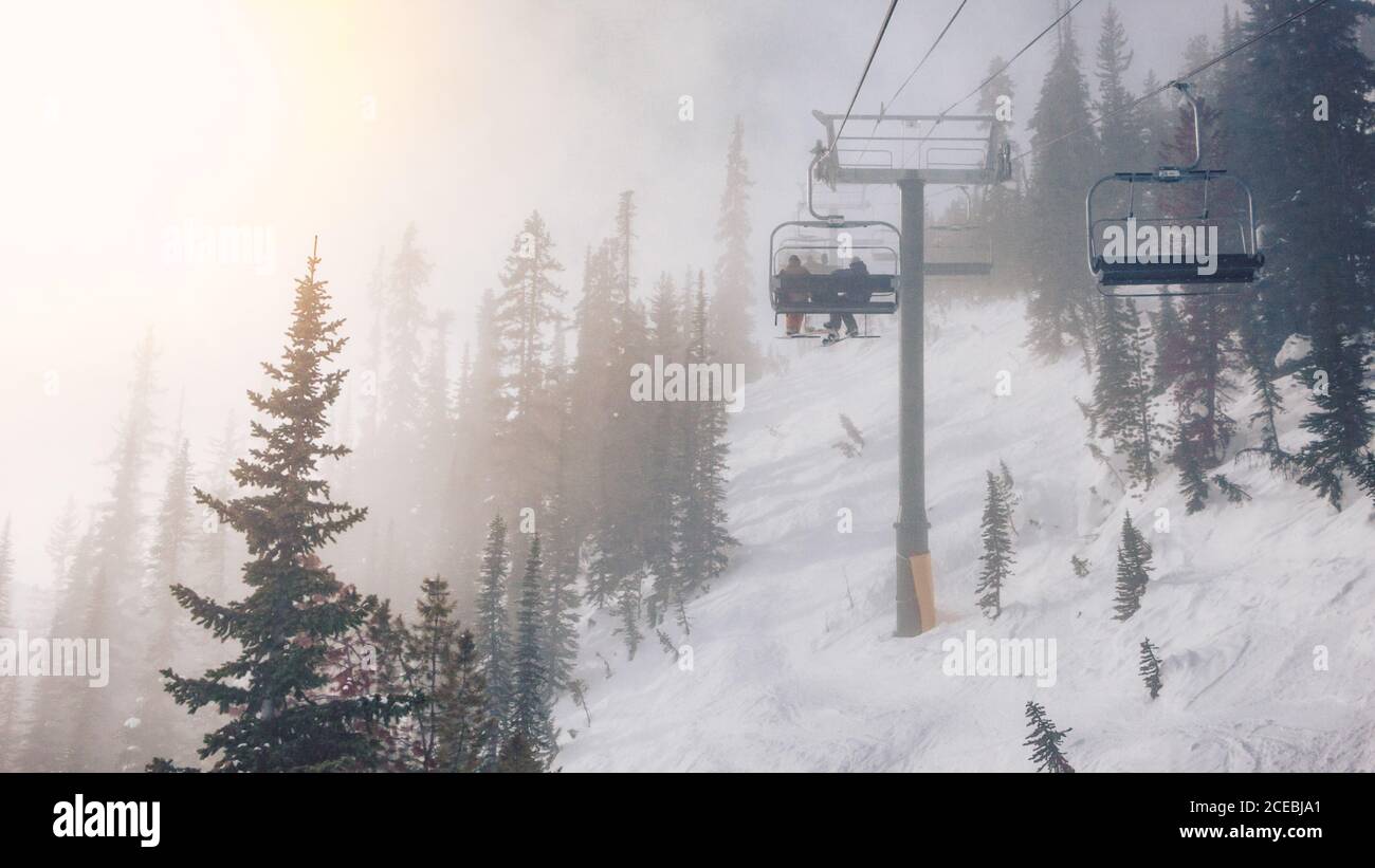People on ropeway upping on top of hill between trees in winter in ...