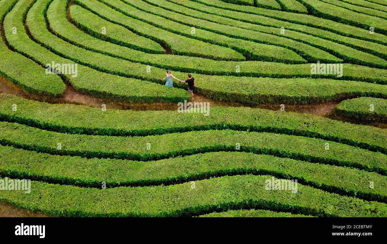 Couple walking in green bush labyrinth Stock Photo