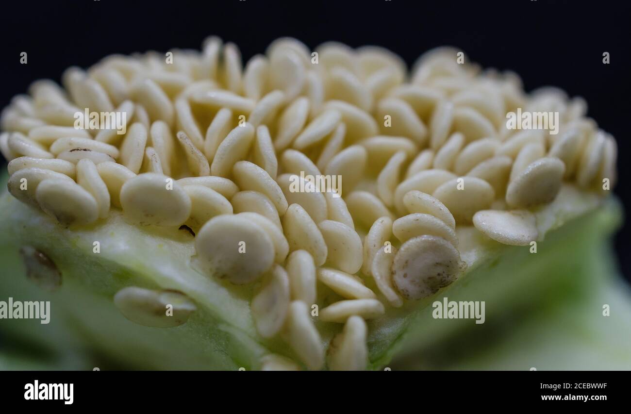 Capsicum seed from micro details Stock Photo