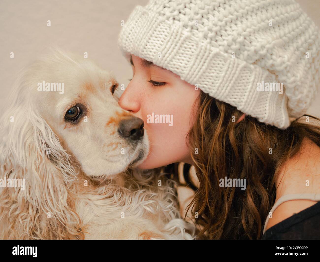Funny cocker spaniel hi-res stock photography and images - Alamy Funny cocker spaniel hi-res stock photography and images - Alamy
