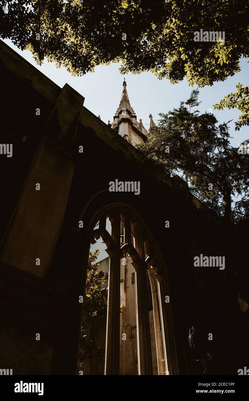 Tree branches and spire of old building Stock Photo